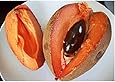 Fresh Mamey Sapote (Set of 3)