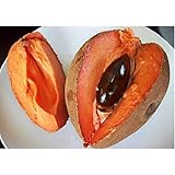 Fresh Mamey Sapote (Set of 3)