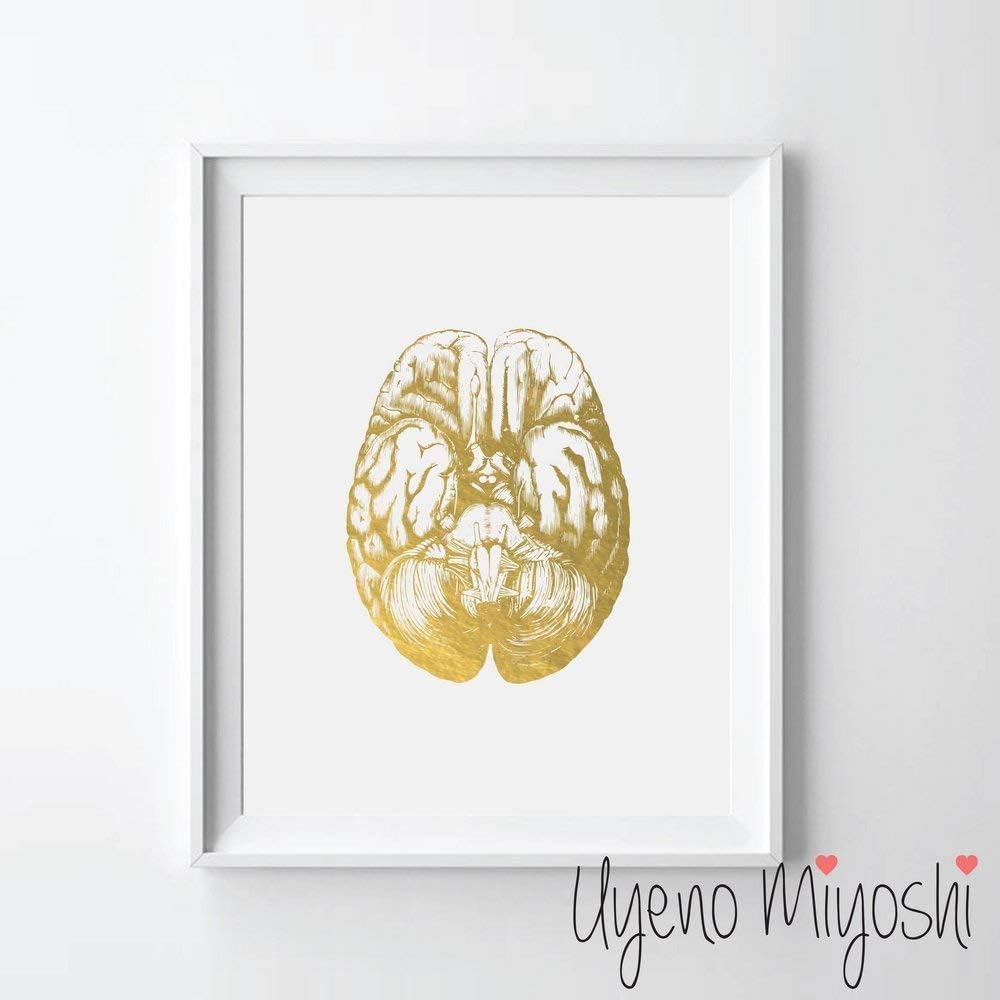 Human Brain III Gold Foil Art Print Human Brain Anatomy Gold Print Human Brain Anatomy Gold Wall Art Decor (08" x 10" UNFRAMED)