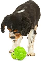 Petface Latex Broccoli Soft Chew Dog Toy Small view 3