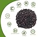 Dried ELDERBERRIES from Europe Premium Quality 900GR 2LB