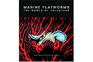 Marine Flatworms: The World of Polyclads