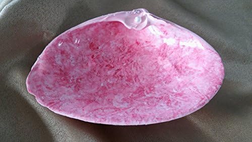 Hand Painted Sea Shell Jewelry, Key, Decorative Soap Dish - Nautical Themed Gift - Pink Marbled