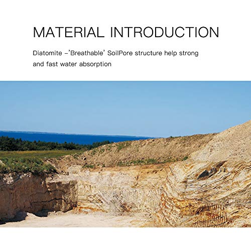 Poncho Diatomaceous Earth Bath Mat 23.6" X 15" NonSlip Mats Absorbent