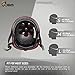 JBM Skateboard Helmet - Lightweight, Adjustable & Ventilated Helmet for Scooter, Roller Skate, Inline Skate