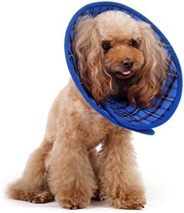 Alfie Pet by Petoga Couture - Candace Soft Recovery Collar (for Dogs and Cats) - Color BluePlaid, Size: XL