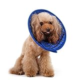 Alfie Pet - Candace Soft Recovery Collar (for Dogs and Cats) - Color: BluePlaid, Size: Small