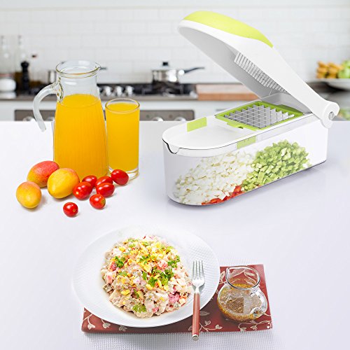 E-Gtong Vegetable Chopper and Food Slicer, Vegetable Slicer with 9 Interchangeable Blades, Potato Onion Chopper and Cutter for Vegetable and Fruit with Big Container, Cleaner and Hand Protector