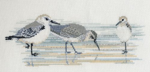 Derwentwater Birds Series Waders Counted Cross Stitch Kit 14 count aida