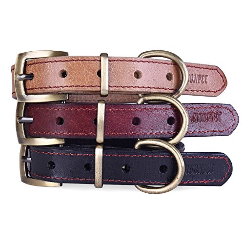 moonpet dog collars