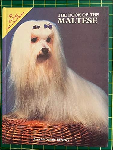 The Book of the Maltese �n�[�h�J�o�[ - 1984/4/1
