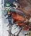 1998 MCFARLANE TOYS SPAWN SERIES 11 DARK AGES SPELLCASTER FIGURE