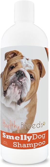 english bulldog shampoo