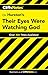 CliffsNotes on Hurston's Their Eyes Were Watching God (Cliffsnotes Literature Guides) by Megan E. Ash