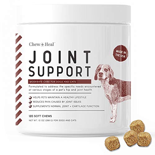Hip and Joint Supplements for Dogs 120 Soft Chew Treats Glucosamine