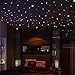 Elaco Glow in The Dark Star Wall Stickers 407Pcs Round Dot Luminous Kids Room Decor (A)