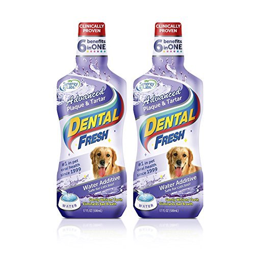 Dental Fresh Advanced Plaque and Tartar-17 Oz [2-Pack]