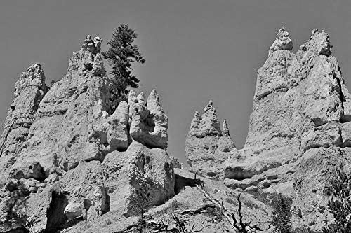 Amazon Co Jp ペンシルベニア州のシャープマウンテン壁紙 自然壁紙 白黒の キャンバス ステッカー 印刷 壁紙ポスター はがせるシール式 写真 特大 絵画 壁飾り1cmx80cm ホーム キッチン
