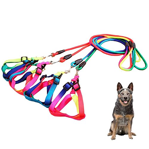 Runfish colorful pet harness dog traction with rope chain tether strap (S(neck circumference ：7.8-13.3 in))