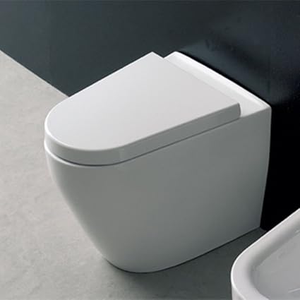 Tizi Floor Mounted Elongated 1 Piece Toilet One Piece Toilets