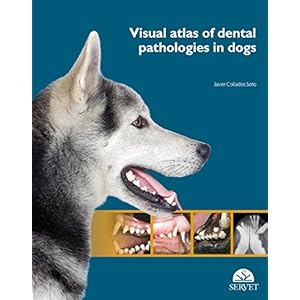 Visual Atlas of Dental Pathologies in dogs