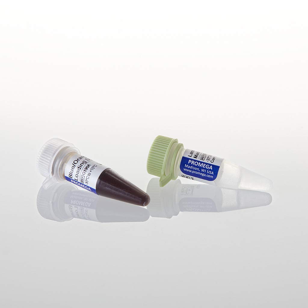 lambda dna hindiii markers 100mg