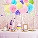 NICROLANDEE Unicorn Party Supplies - Pink Tissue Paper Pom Pom Flowers Eyelet Paper Lanterns String Hanging Circle Dots Garland for Baby Shower Birthday Wedding Decorations Nursery Room Wall Decor