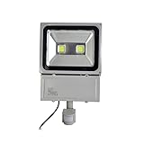 Double Headed Sensor LED Floodlight Waterproof 100W