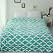 Usual Joy Soft Warm Blanket Picnic Beach Blanket Fleece Blanket Fuzzy Plush Lightweight Throw Couch Bed Blanket King Size (Light Blue, 108