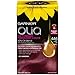Garnier Olia Oil Powered Permanent Hair Color, 6.65 Light Garnet Red