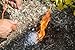 QuickFire Flint Strike Master Emergency Waterproof Fire Starter Over 10,000 Strikes Sparks at Over 5,000 Degrees - Magnesium Fire Starter Great Camp Flint Striker All Weather Fire Starter (Single)