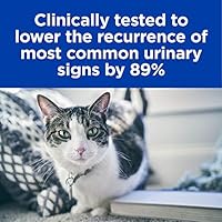 hills prescription diet cat food urinary care