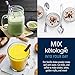 Ketologie Collagen Keto Shake (Vanilla) - with Coconut Oil, Grass Fed Hydrolyzed Collagen Peptides Type I & III, Low Carb High Fat, Lactose Free, Gluten Free, Soy Free, 28.5oz