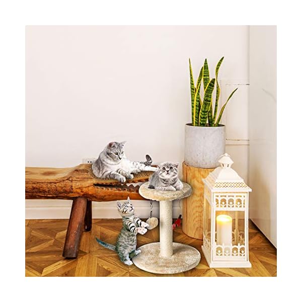 Zubita-Cat-Tree-Tower-Cat-Scratcher-Kitty-Furniture-Scratching-Post-Climber-House-Cat-Play-Tower-Activity-Centre-for-Playing-Relaxing-and-Sleeping Zubita Cat Tree Tower, Cat Scratcher Kitty Furniture Scratching Post Climber House Cat Play Tower Activity Centre for…