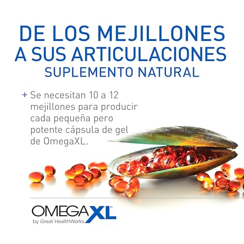 Suplemento de apoyo articular OmegaXL, para alivio - Suplemento muscular natural, aceite de mejillón de labios verdes, capsulas de gel blandas, sin fármacos, 60 unidades
