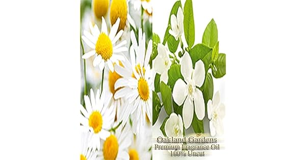 Amazon.com: Manzanilla Aceite Esencial de Neroli y aceite de ...