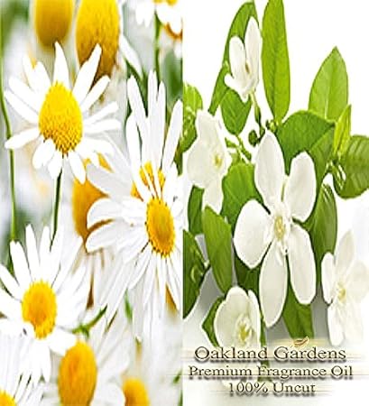 Amazon.com: Manzanilla Aceite Esencial de Neroli y aceite de ...