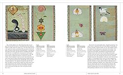 Tantra: enlightenment to revolution