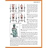 The Strength Training Anatomy Workout II: Building Strength and Power with Free Weights and Machines