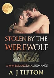 Stolen by the Werewolf: A M-M Shifter Romance (Werewolves of Singer Valley Book 1)
