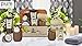 Essence of Luxury Spa Gift Basket Bath Set! PURE Spa Basket Natural Skin Care Gift Set Makes Best Mothers Day Gift for Women & Holiday Gift Baskets! (Kiwi)