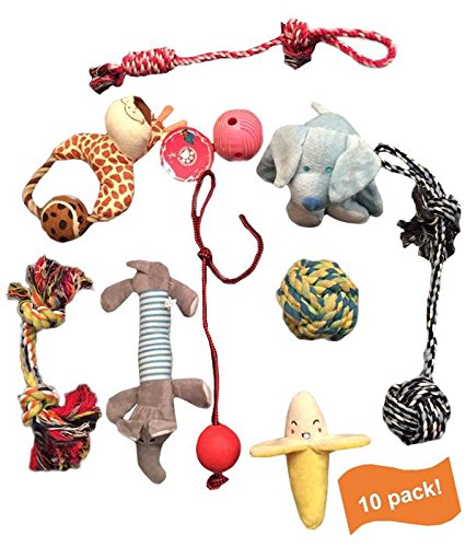 : Rope, Ball, Squeaky, Plush, And Chew Toys