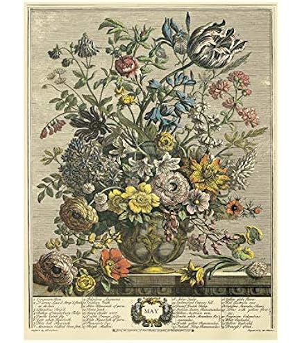アート・デザイン・音楽 Winterthur's Twelve Months of Flowers Winterthur's Twelve Months of Flowers: MacDonald, Lisa