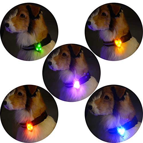 dog collar strobe light
