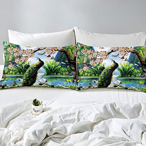 Pillow Cases(No Comforter 