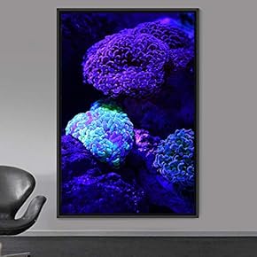 signwin Framed Canvas Wall Art Coral Beds Bedroom...