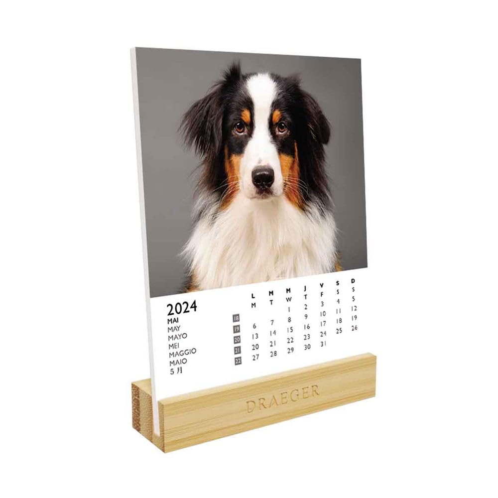DRAEGER PARIS | Calendar on Base Dogs 2024 | 12 x 16.5 cm | Year 2024 | 7 Languages | Monthly Desk Decoration Calendar | Bamboo Base | FSC® Certified Paper | Vegetable Inks