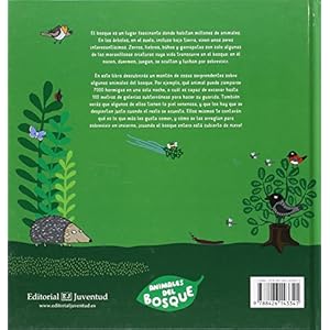 Animales del bosque (Conocer y comprender) (Spanish Edition)