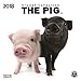 The Pig 2018. Artlist Collection Broschürenkalender by 