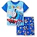 Nickelodeon Boys' 2-Piece Pajama Set, Blue, 4T